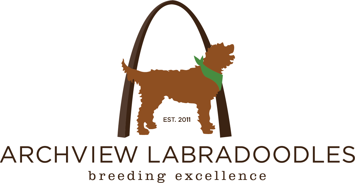Top Australian Labradoodle Breeder Illinois & Missouri | Arch View